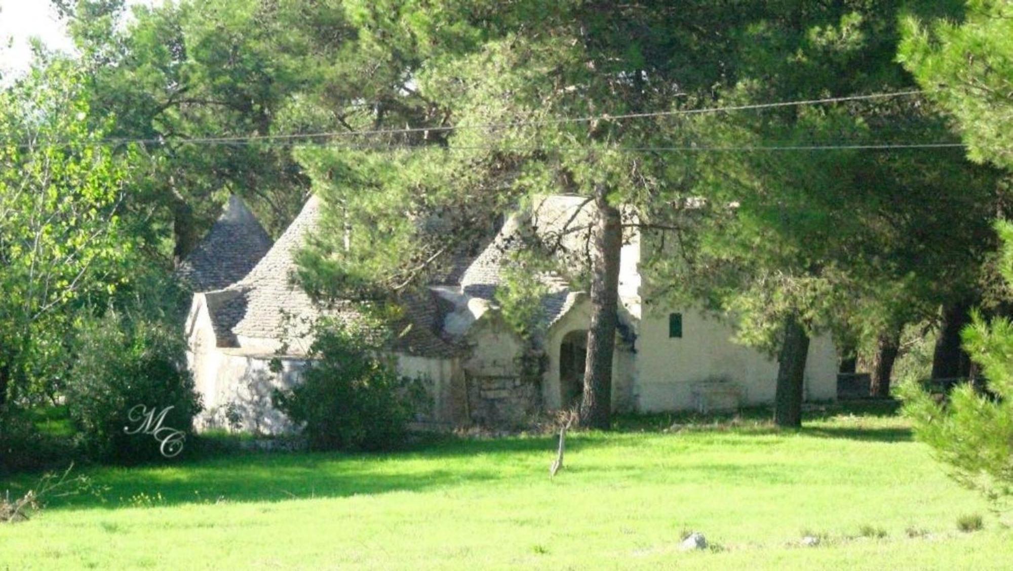 Harry'S House Bed & Breakfast Fasano Exterior photo